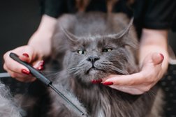 Груминг-салон Barberdog, с рейтингом 4 - находится по адресу Владимир, Октябрьский проспект, 7 