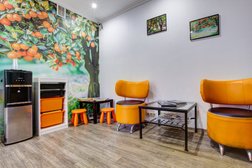 Orange Paradise
