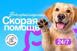 Ветеринарная служба Ветнаходка, с рейтингом 4.9 - находится по адресу Московская область, Красногорск 