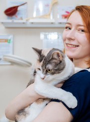 Ветеринарный врач УЗИ, ветеринарный врач-эндокринолог Наталья Олеговна Литовченко