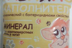 Зоомагазин Матильда, с рейтингом 5 - находится по адресу Магнитогорск, проспект Карла Маркса, 99 