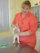 Советникова Ирина Александровна