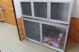 Ветеринарная клиника Фауна, с рейтингом 3.6 - находится по адресу Красноярск, улица Кутузова, 91а 