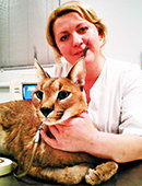 Михеева Анна Николаевна