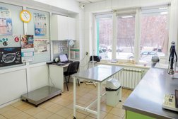 Центр ветеринарной медицины, с рейтингом 4.8 - находится по адресу Челябинск, улица Блюхера, 83а 