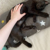 фото от пользователя Надежда Захарова в отзыве о ветеринарной клинике Vet Union на проспекте Вернадского, 39