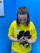 Агашина Анастасия Александровна