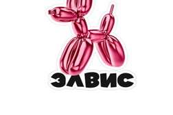 Груминг салон ELVIS, с рейтингом 2.5 - находится по адресу Белгород, Гостёнская улица, 12 