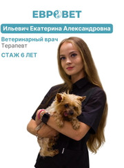 Ветеринарный врач-терапевт Екатерина Александровна Ильевич
