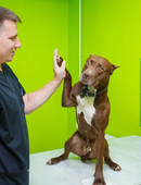 Васильев Дмитрий Федорович