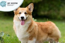 Ветеринарный зоомагазин Др. Холли, с рейтингом 4.5 - находится по адресу Белгород, проспект Славы, 65/36 