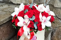 Цветочная мастерская Бархат, с рейтингом 5 - находится по адресу Брянск, Московский проспект, 11 