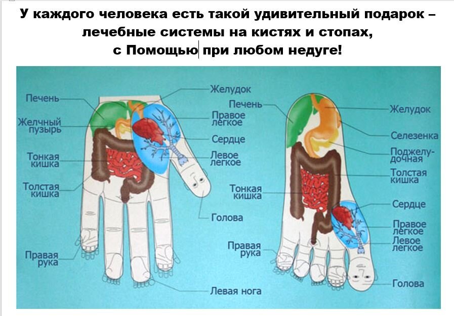 Карта руки су джок