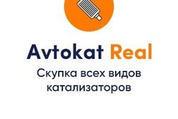 СТО Avtokat-Real удаление и выкуп катализаторов, с рейтингом 4.2 - находится по адресу Новосибирск, Планетная улица, 30к7А 