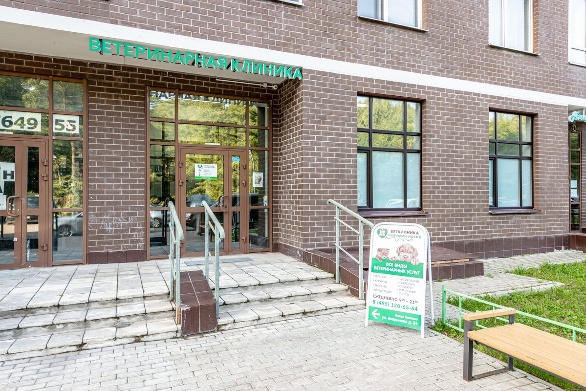 ветклиника любимый носик. ветеринарная клиника любимый друг кириши. ветклиника любятово псков. улица бояринова 24 балашиха. ветклиника на 6 кожуховской любимый носик.