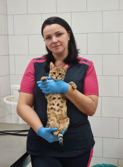 Ветеринарный врач-дерматолог, ветеринар Валерия Ивановна Солдатова