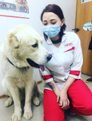 Елейник Гульсина Гайнулловна