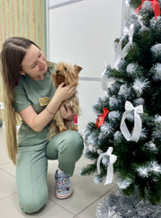 Ветеринарный врач-терапевт, ветеринар Наталья Владимировна Тупикова (Фонова)