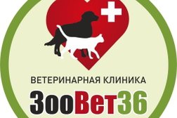 Ветеринарная клиника ЗООВЕТ36, с рейтингом 4.8 - находится по адресу Воронеж, улица Карла Либкнехта, 72 