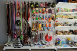 Ветеринарный кабинет Зоомагия, с рейтингом 3.9 - находится по адресу Сочи, улица Согласия, 27а 