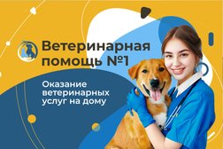 Выездная ветеринарная служба Zoovet-home, с рейтингом 4.9 - находится по адресу Москва, Большая Бронная улица, 23с2 