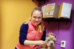 Кинологический центр Top dog, с рейтингом 2.3 - находится по адресу Краснодар, улица Тургенева, 17 
