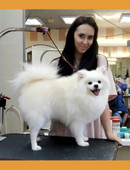 Кушнир Виктория