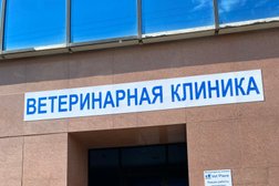 Ветеринарная клиника Vet Place, с рейтингом 3.7 - находится по адресу Мордовия, Саранск, Ленинский район, 430000, Коммунистическая улица, 123 