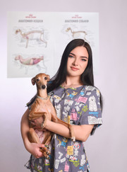 Ветеринар, ветеринарный врач УЗИ Елена Анатольевна Попова