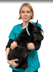 Ветеринарный стоматолог, ветеринар Ольга Владимировна Афоничева