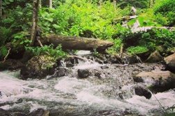 Туристическая компания Асса-Тур, с рейтингом 4 - находится по адресу Московская область, Химки, микрорайон Сходня, улица Энгельса, 29 