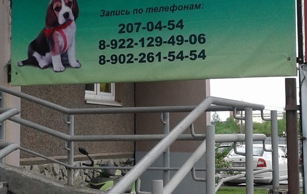 Ветеринарная клиника в Городском поселении поселке Воротынске: 32 исполнителя с