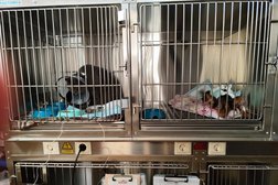 Ветеринарная клиника СоВет, с рейтингом 5 - находится по адресу Ярославль, проспект Машиностроителей, 52 