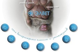 Ветеринарный центр Элвет, с рейтингом 4.8 - находится по адресу Санкт-Петербург, Дальневосточный проспект, 57к1 