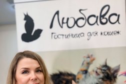 Зоогостиница и груминг-салон Любава, с рейтингом 4.8 - находится по адресу Нижний Новгород, Московское шоссе, 146 
