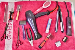 Зоомагазин Медуза, с рейтингом 3.6 - находится по адресу Омск, 6-я Крайняя улица, 17 