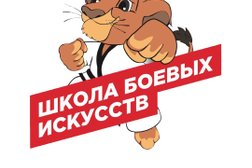 Детская спортивная школа Дмитрия Яковлева, с рейтингом 4.8 - находится по адресу Московская область, Балашиха, улица 1 Мая, 6Б 