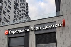 Магазин Городская база цветов, с рейтингом 5 - находится по адресу Московская область, Мытищи, 1-й Стрелковый переулок, 1 