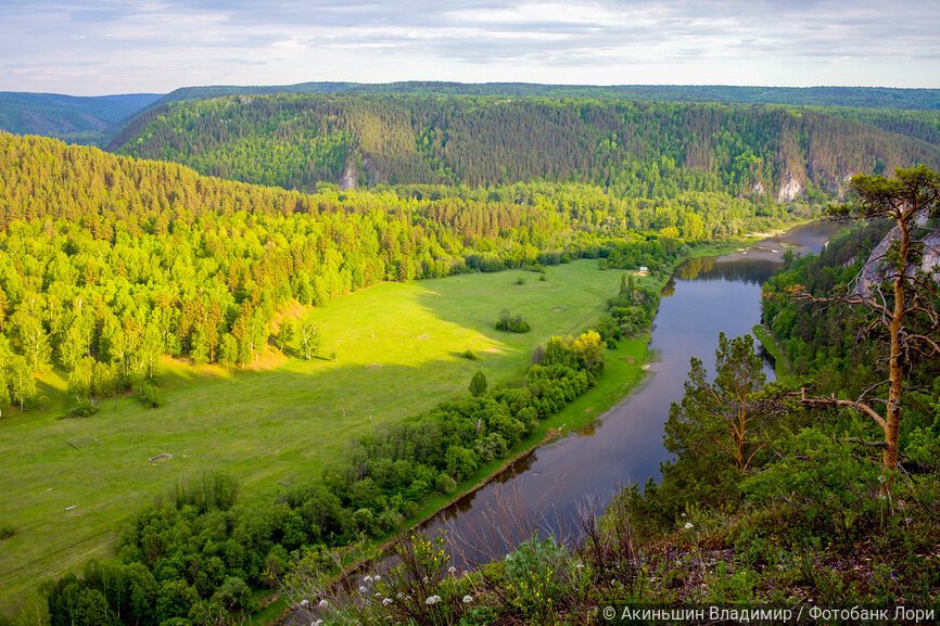 Река Белая, яркие зелёные берега, солнечный летний день
