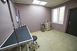 Зоосалон GrooMax, с рейтингом 4.4 - находится по адресу Сочи, улица Искры, 42 