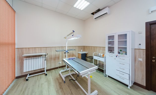 Стоковые векторные изображения по запросу Dental clinic veterinary