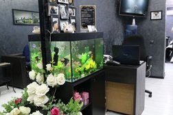 Барбершоп Razor, с рейтингом 3.7 - находится по адресу Республика Дагестан, Махачкала, улица Толстого, 1 