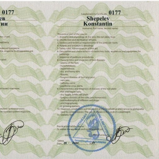 Константин Евгеньевич Шепелев