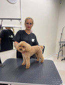 Перевезенцева Елена