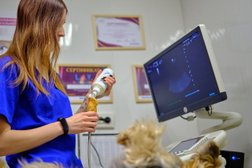 Ветеринарный центр Элирис, с рейтингом 4.9 - находится по адресу Волгоград, Ставропольская улица, 52 