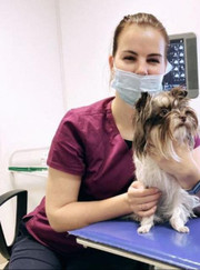 Ветеринарный врач УЗИ, ветеринар Екатерина Игоревна Лесняк