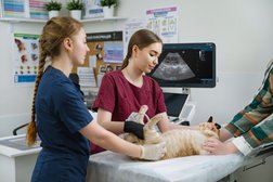 Многопрофильный ветеринарный центр Евровет, с рейтингом 4.8 - находится по адресу Омск, улица Перелёта, 19 