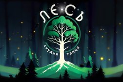 Студия танцев Лесъ, с рейтингом 5 - находится по адресу Московская область, д. Дергаево, Октябрьская улица, 46в 