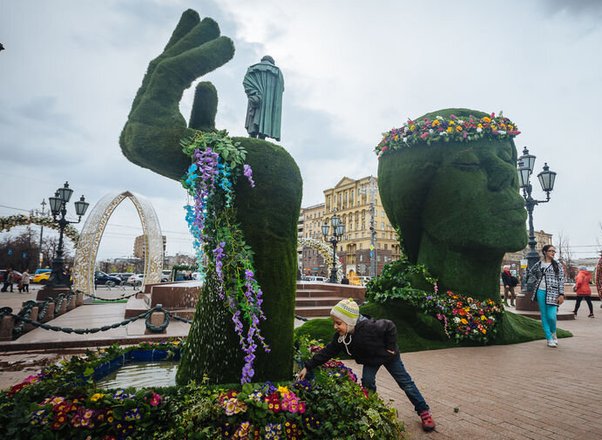 Как правильно подстричь когти собаке