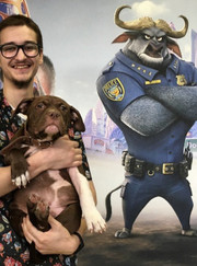 Ветеринарный анестезиолог-реаниматолог, ветеринарный врач-терапевт Илья Игоревич Мишарин